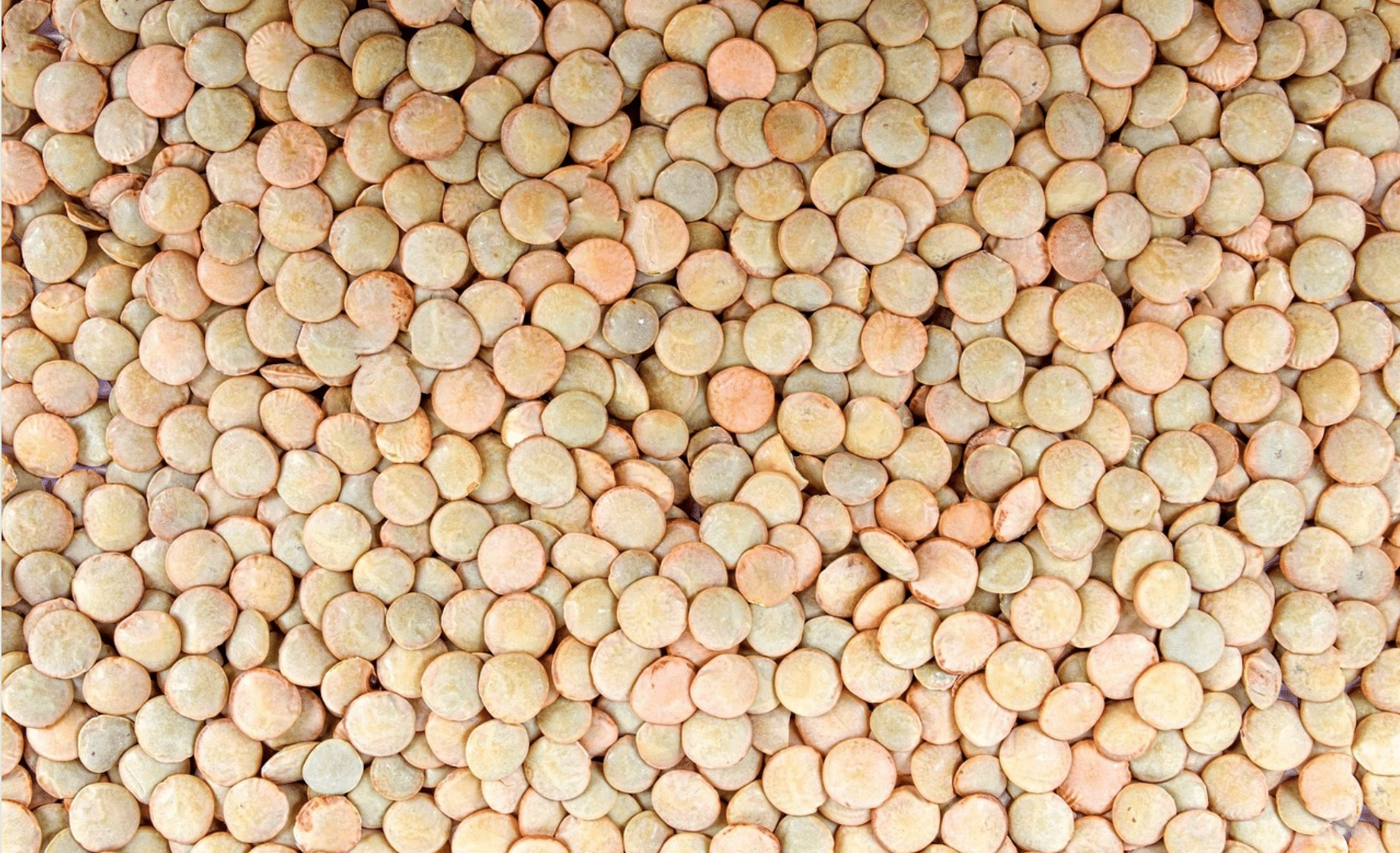 Alimentos vegetarianos ricos en hierro